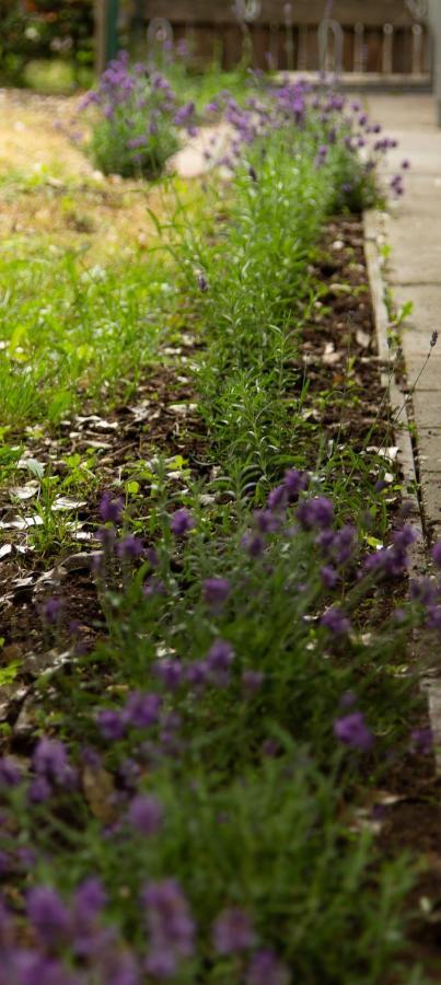 Op De Grens Villa Lommel Ngoại thất bức ảnh