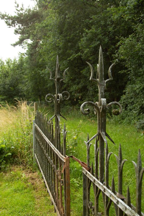 Op De Grens Villa Lommel Ngoại thất bức ảnh